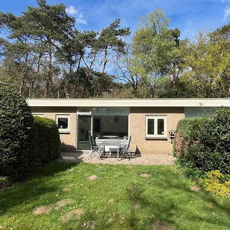 Modern Natuurhuisje Midden In Het Bos Op De Veluwe Otterlo Exterior photo