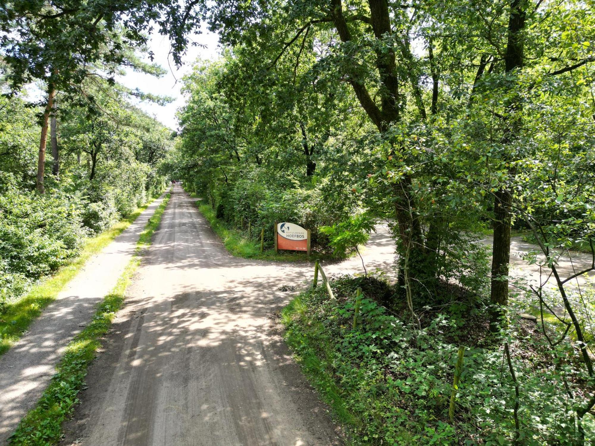 Modern Natuurhuisje Midden In Het Bos Op De Veluwe Holiday home *